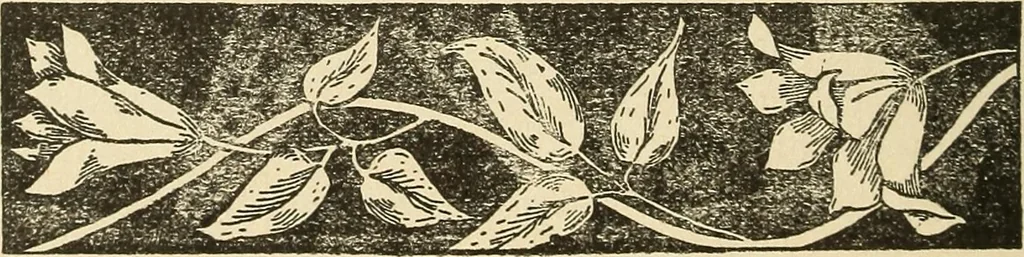 An illustration from Fancy work for pleasure and profit, 1905, leaf 266