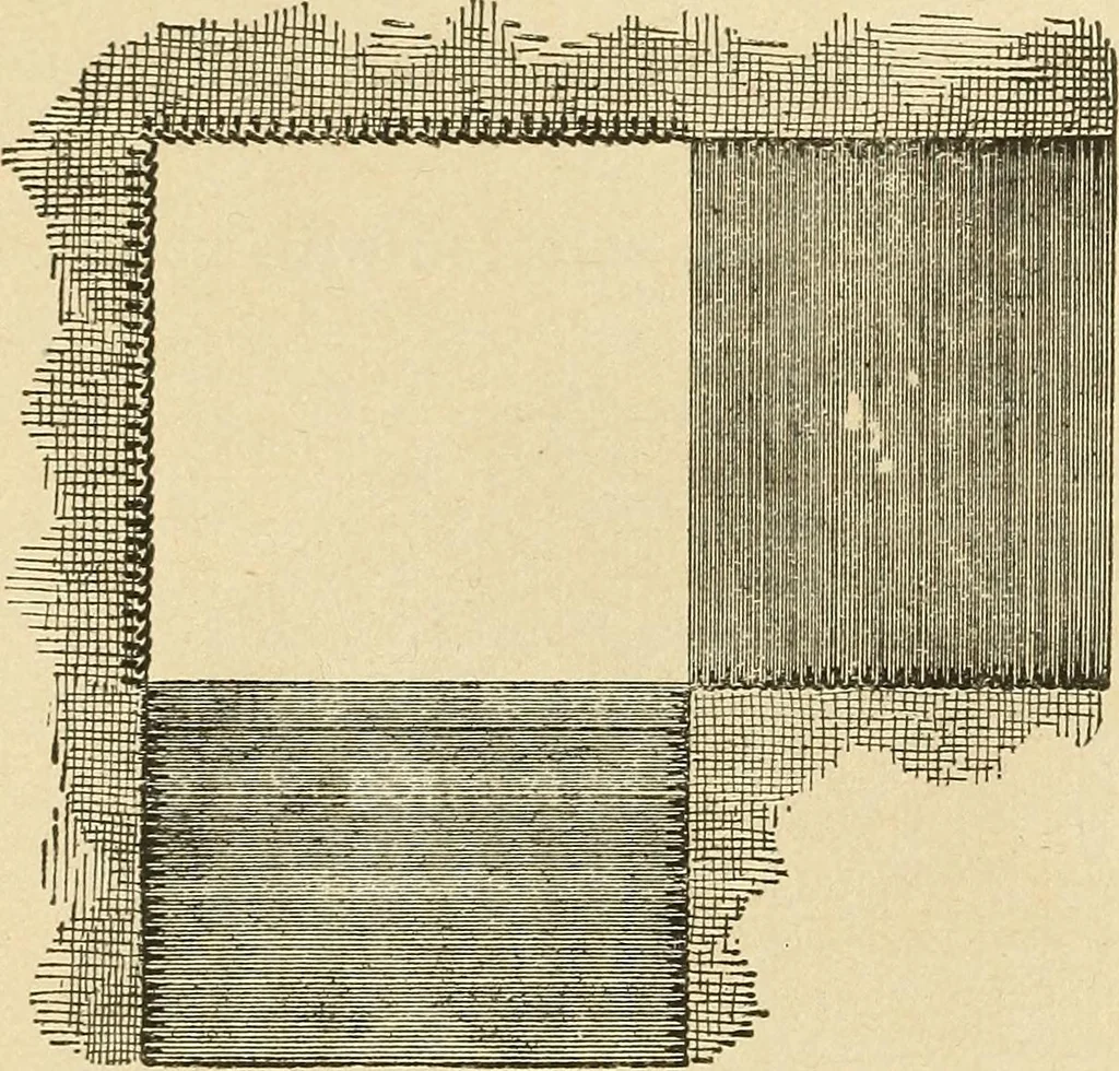 An illustration from Fancy work for pleasure and profit, 1905, leaf 268