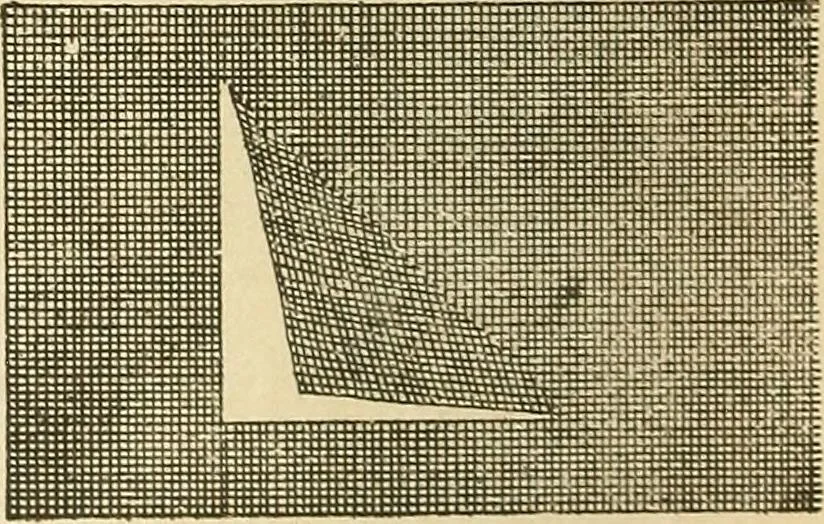 An illustration from Fancy work for pleasure and profit, 1905, leaf 268