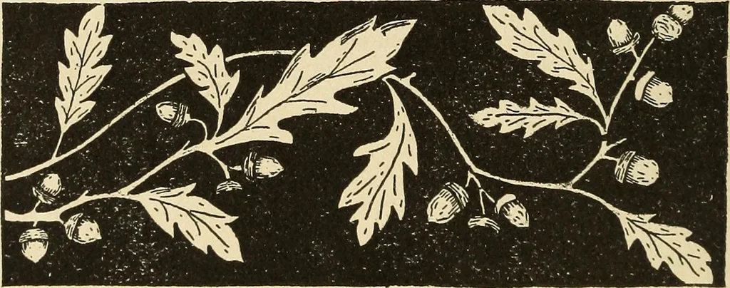 An illustration from Fancy work for pleasure and profit, 1905, leaf 28