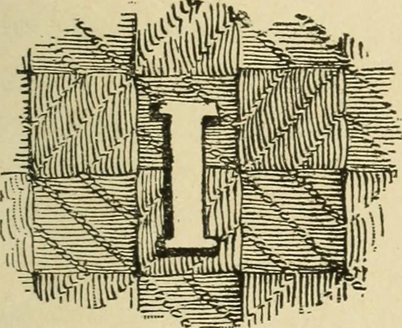An illustration from Fancy work for pleasure and profit, 1905, leaf 29