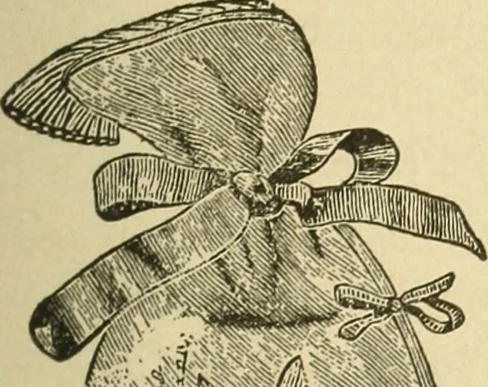 An illustration from Fancy work for pleasure and profit, 1905, leaf 315