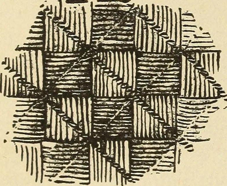 An illustration from Fancy work for pleasure and profit, 1905, leaf 32