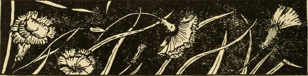 An illustration from Fancy work for pleasure and profit, 1905, leaf 338
