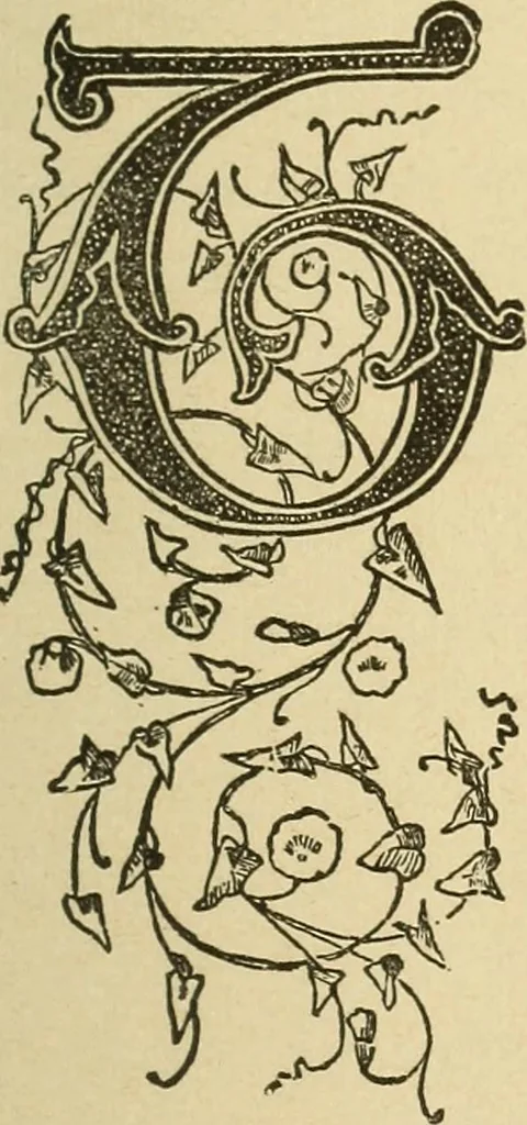 An illustration from Fancy work for pleasure and profit, 1905, leaf 35