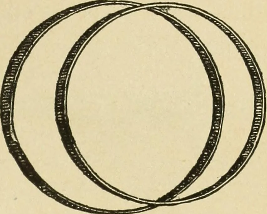 An illustration from Fancy work for pleasure and profit, 1905, leaf 37