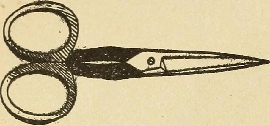 An illustration from Fancy work for pleasure and profit, 1905, leaf 38