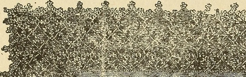 An illustration from Fancy work for pleasure and profit, 1905, leaf 400