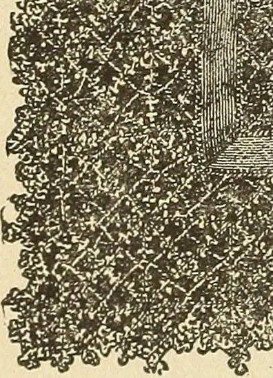 An illustration from Fancy work for pleasure and profit, 1905, leaf 400