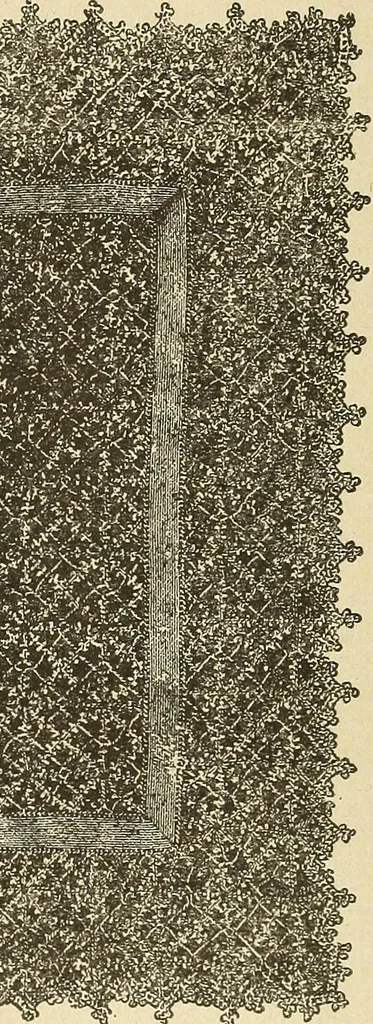 An illustration from Fancy work for pleasure and profit, 1905, leaf 400