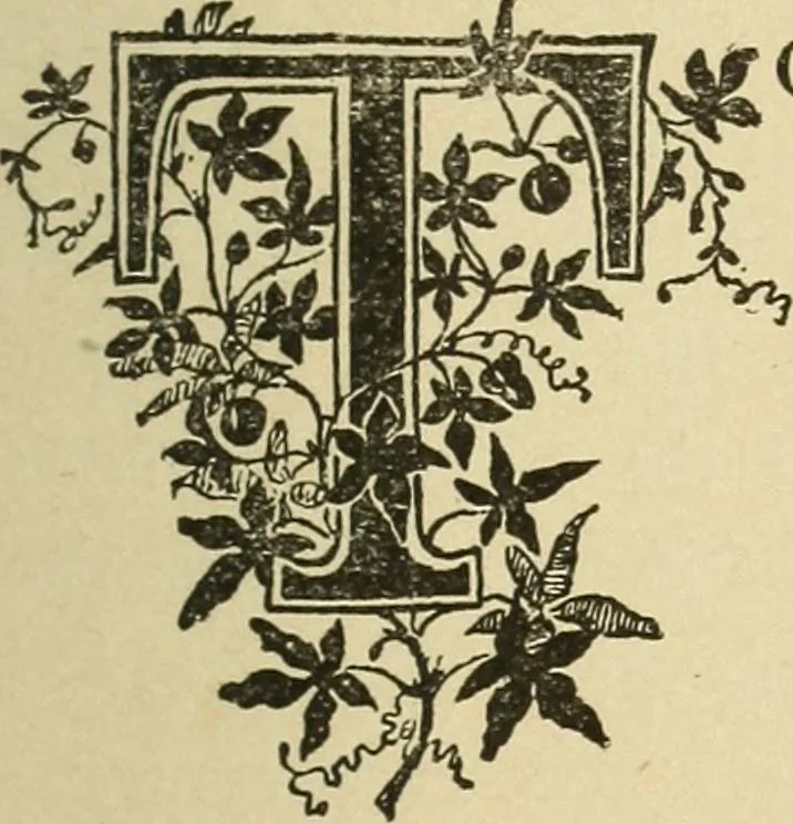 An illustration from Fancy work for pleasure and profit, 1905, leaf 41