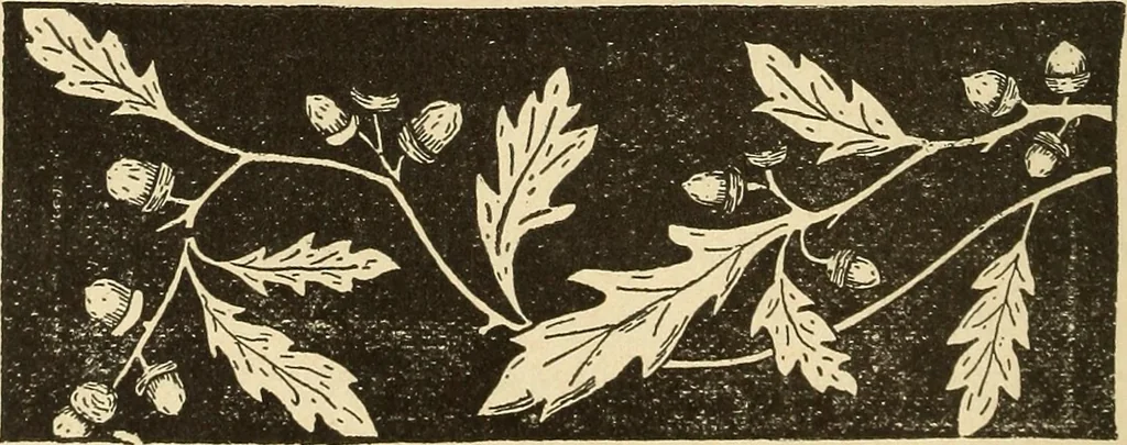 An illustration from Fancy work for pleasure and profit, 1905, leaf 466