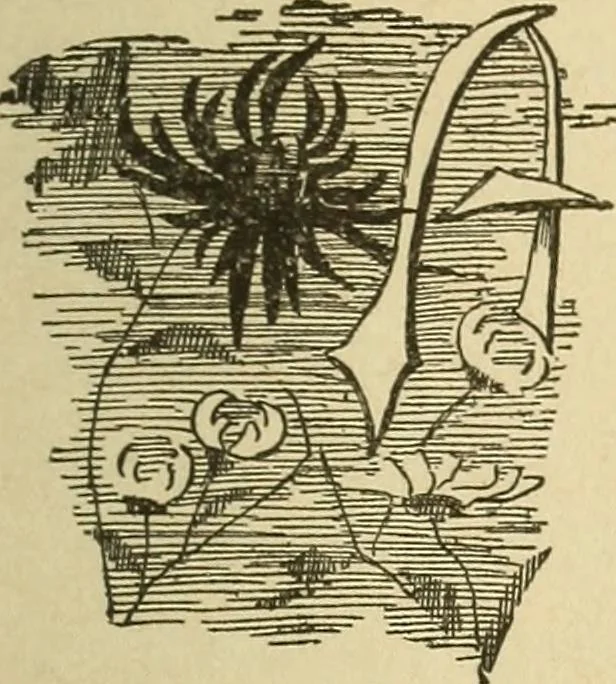 An illustration from Fancy work for pleasure and profit, 1905, leaf 47