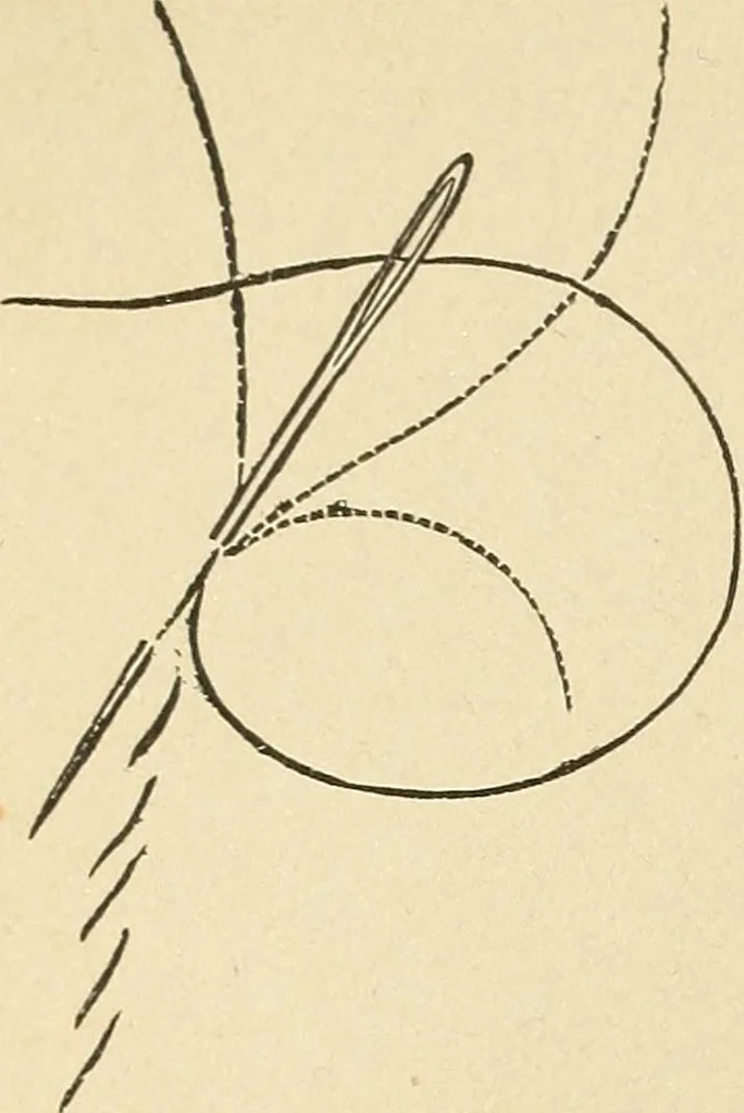 An illustration from Fancy work for pleasure and profit, 1905, leaf 48