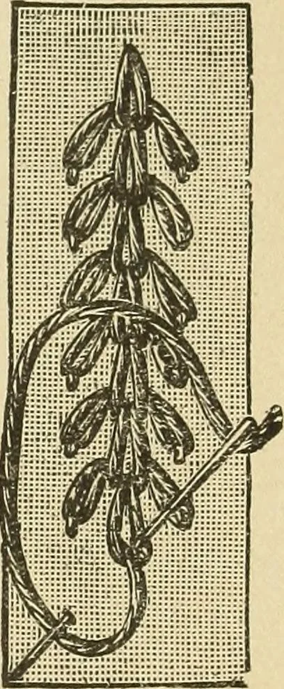 An illustration from Fancy work for pleasure and profit, 1905, leaf 49