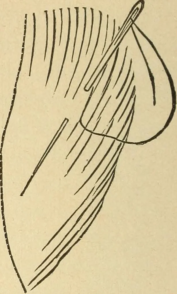 An illustration from Fancy work for pleasure and profit, 1905, leaf 50