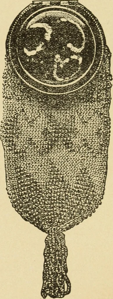 An illustration from Fancy work for pleasure and profit, 1905, leaf 513
