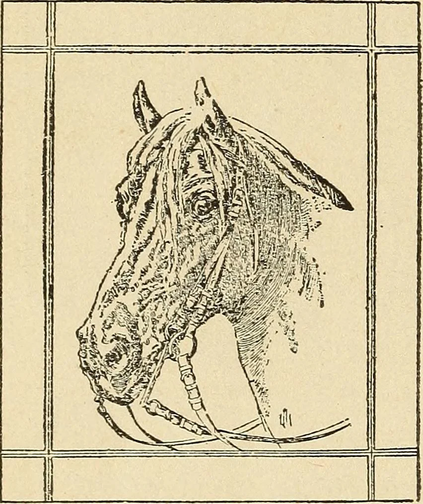 An illustration from Fancy work for pleasure and profit, 1905, leaf 526