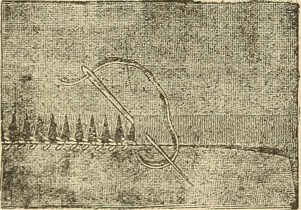 An illustration from Fancy work for pleasure and profit, 1905, leaf 56