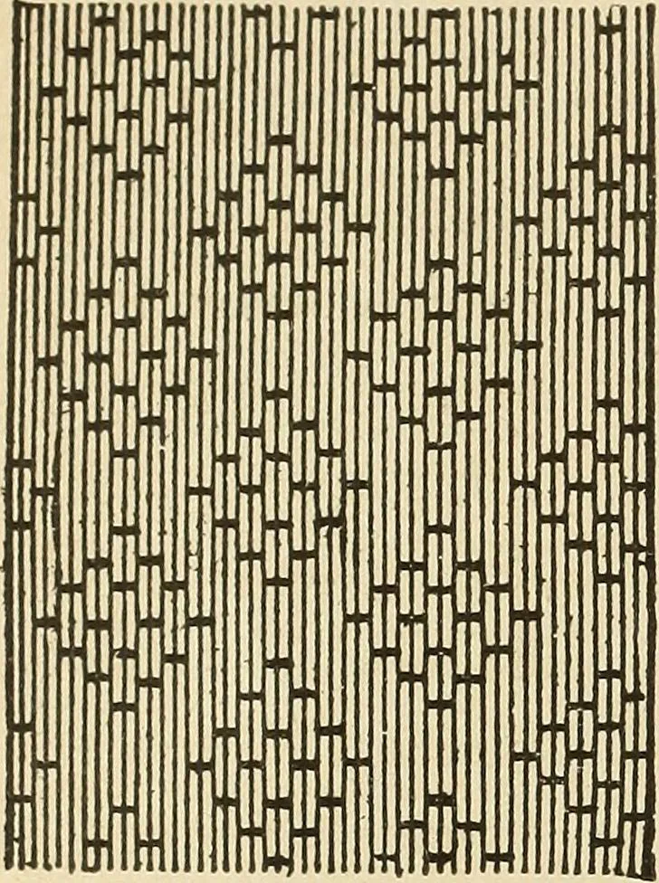 An illustration from Fancy work for pleasure and profit, 1905, leaf 58