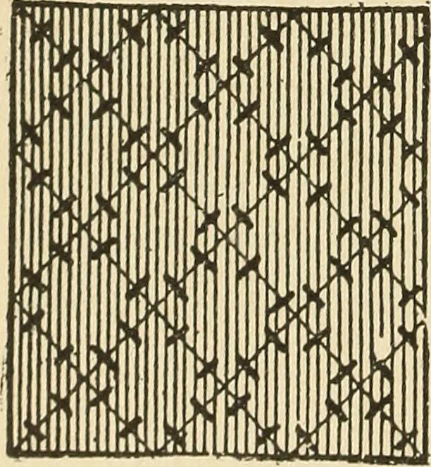 An illustration from Fancy work for pleasure and profit, 1905, leaf 58