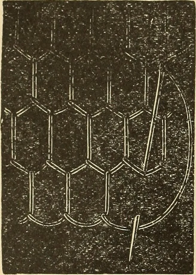 An illustration from Fancy work for pleasure and profit, 1905, leaf 60
