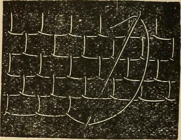 An illustration from Fancy work for pleasure and profit, 1905, leaf 60