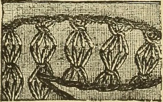 An illustration from Fancy work for pleasure and profit, 1905, leaf 61