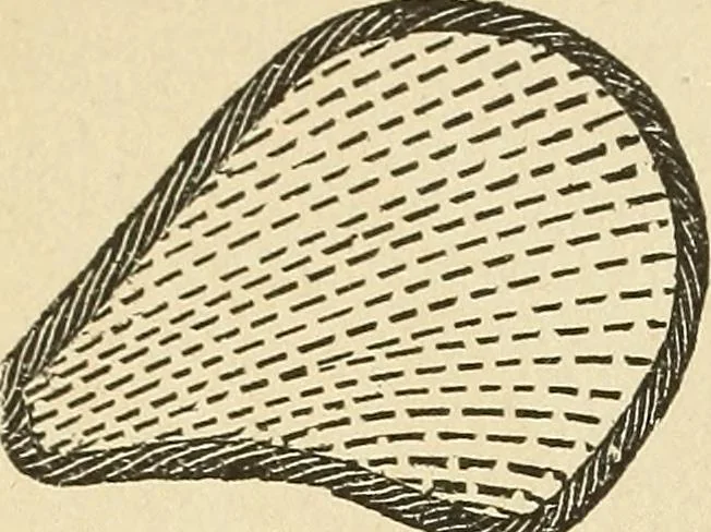 An illustration from Fancy work for pleasure and profit, 1905, leaf 62