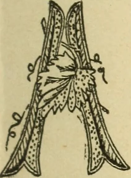 An illustration from Fancy work for pleasure and profit, 1905, leaf 89