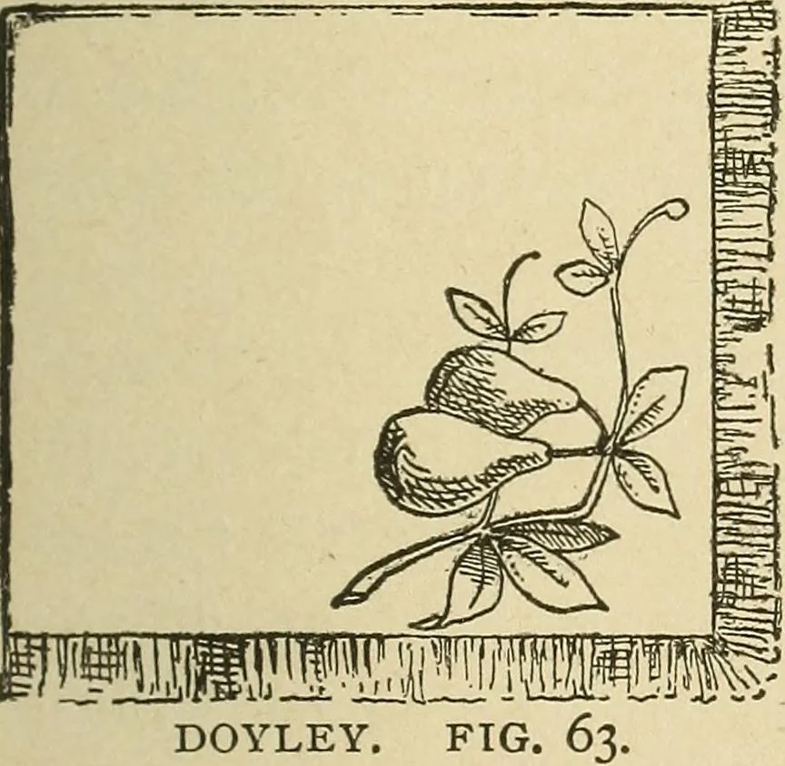 An illustration from Fancy work for pleasure and profit, 1905, leaf 97