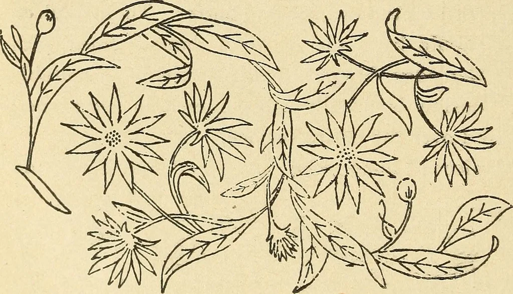 An illustration from Fancy work for pleasure and profit, 1905, leaf 98