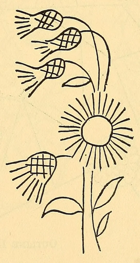 An illustration from Fancy work recreations : a complete guide to knitting, crochet, and home adornment, 1885, leaf 359