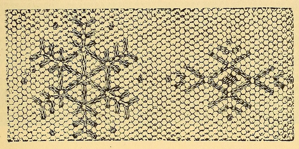 An illustration from Fancy work recreations : a complete guide to knitting, crochet, and home adornment, 1885, leaf 443