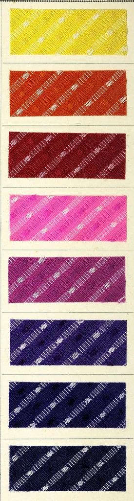 An illustration from Farbstoffe für gemischte Gewebe aus Wolle, Baumwolle und Seide = Colours suitable for composite fabrics of wool, cotton and silk = Colorants pour tissus mixtes de laine, coton et soie, 1890, leaf 10