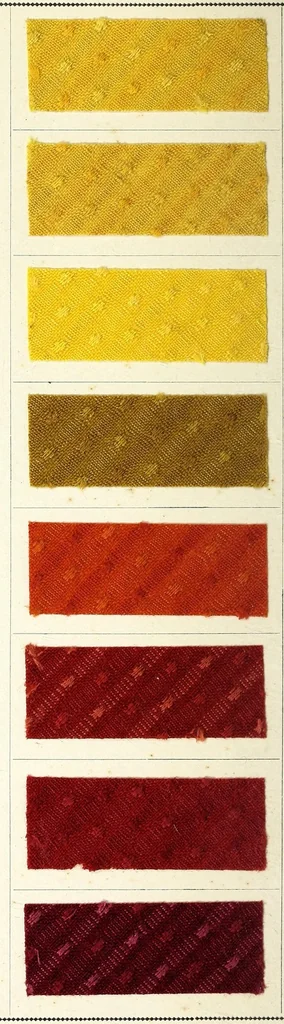 An illustration from Farbstoffe für gemischte Gewebe aus Wolle, Baumwolle und Seide = Colours suitable for composite fabrics of wool, cotton and silk = Colorants pour tissus mixtes de laine, coton et soie, 1890, leaf 6