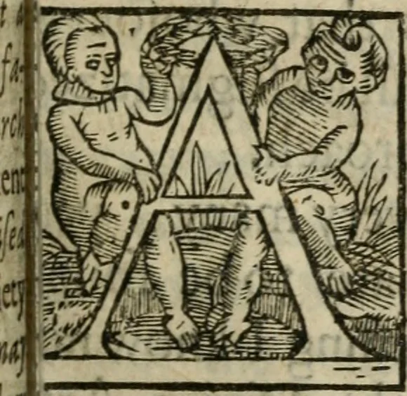 An illustration from Fasciculus chemicus, or, Chymical collections : expressing the ingress, progress, and egress of the secret Hermetick science, out of the choisest and most famous authors ... : whereunto is added, the Arcanum, or, Grand secret of hermetick philosophy, 1650, leaf 40
