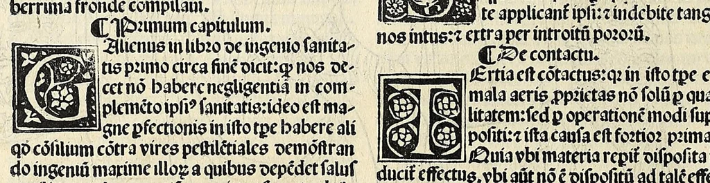 An illustration from Fasciculus medicine in quo continentur: videlicet, leaf 46