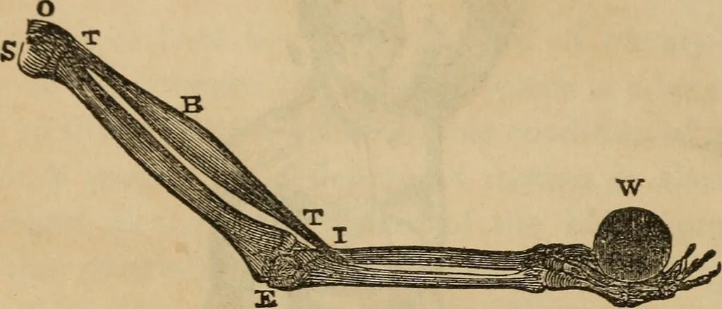 An illustration from Fascination, 1848, leaf 51