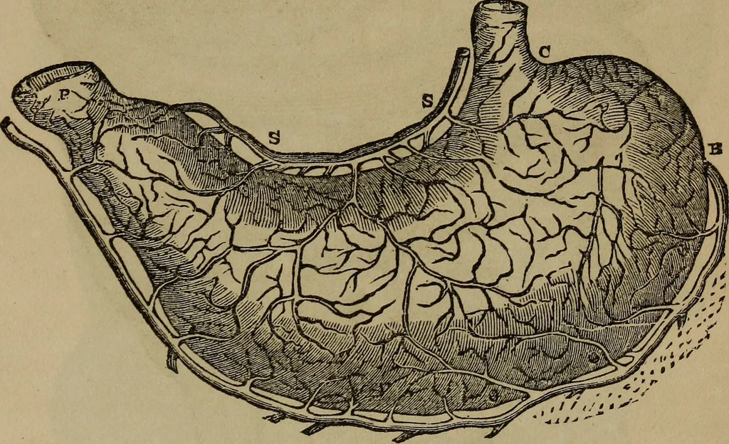 An illustration from Fascination, 1848, leaf 52
