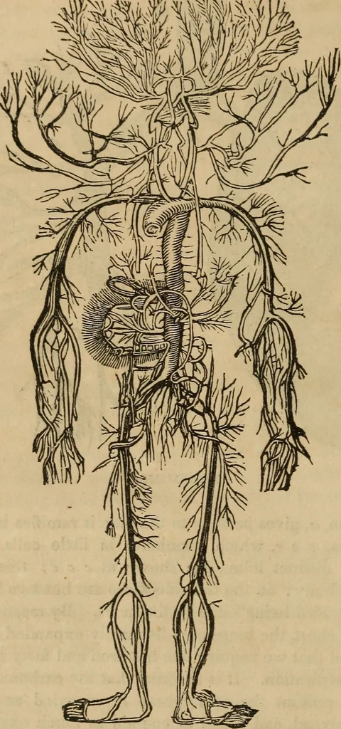 An illustration from Fascination, 1848, leaf 59