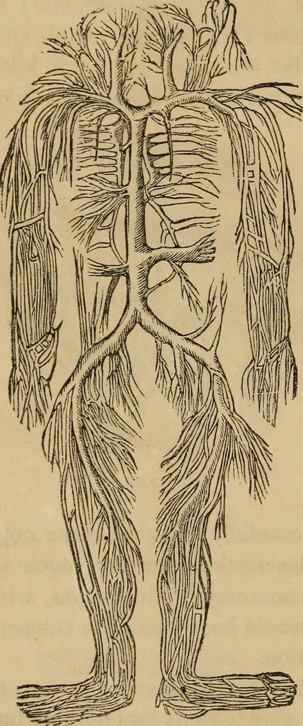 An illustration from Fascination, 1848, leaf 61