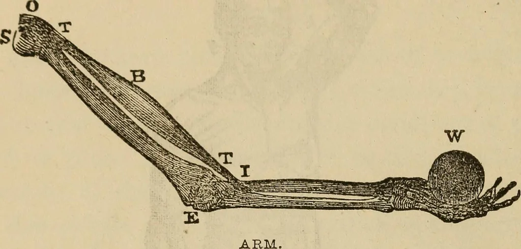 An illustration from Fascination; or the Philosophy of charming, illustrating the principles of life in connection with spirit and matter, 1854, leaf 50