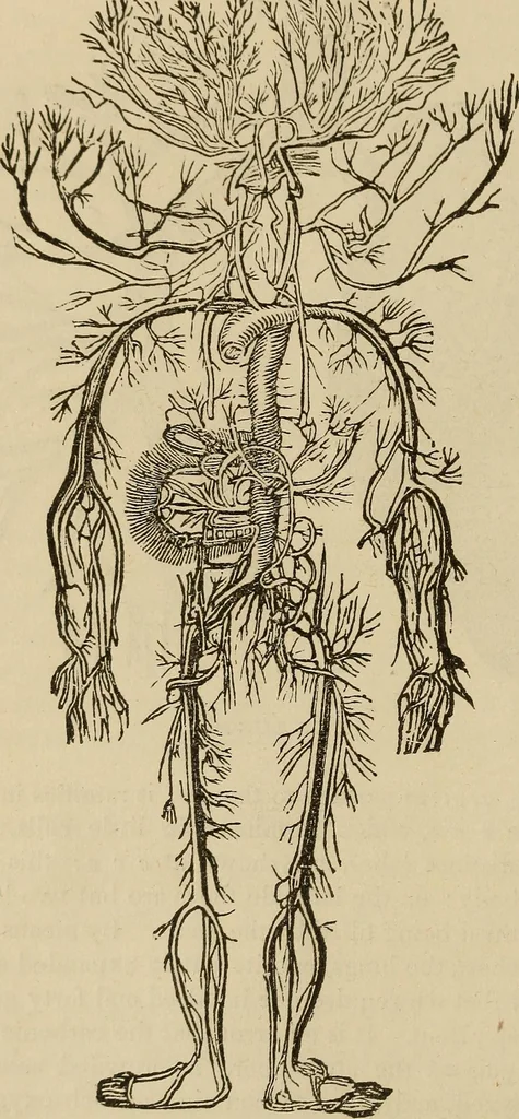 An illustration from Fascination; or the Philosophy of charming, illustrating the principles of life in connection with spirit and matter, 1854, leaf 58