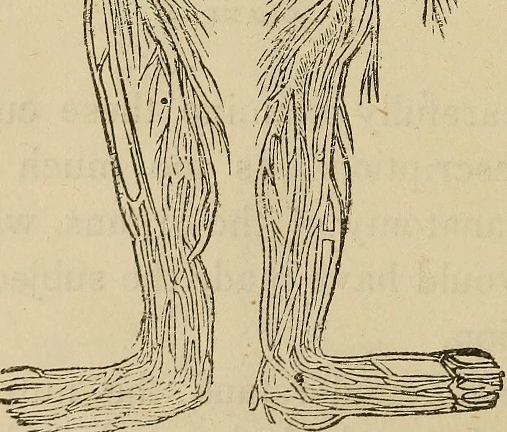 An illustration from Fascination; or the Philosophy of charming, illustrating the principles of life in connection with spirit and matter, 1854, leaf 60