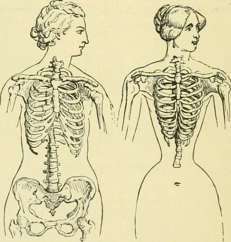 An illustration from Fashion's slaves, 1892, leaf 21