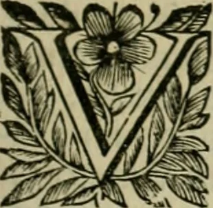 An illustration from Fasti ducales ab Anafesto I. ad Silvestrum Valerium Venetorum ducem : cum eorum iconibus, insignibus, nummismatibus publicis, & privatis aere sculptis : inscriptionibus ex aula M. Consilii, ac sepulchralibus : adiectae sunt adnotationes, ad vitam cuiusque principis, rerum, quae omissae fuerant, 1696, leaf 106
