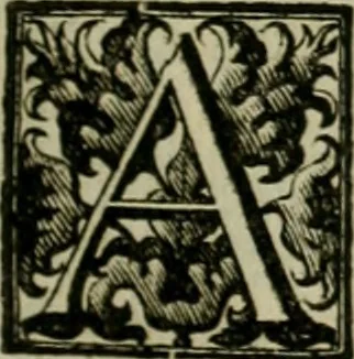 An illustration from Fasti ducales ab Anafesto I. ad Silvestrum Valerium Venetorum ducem : cum eorum iconibus, insignibus, nummismatibus publicis, & privatis aere sculptis : inscriptionibus ex aula M. Consilii, ac sepulchralibus : adiectae sunt adnotationes, ad vitam cuiusque principis, rerum, quae omissae fuerant, 1696, leaf 118