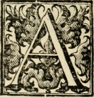 An illustration from Fasti ducales ab Anafesto I. ad Silvestrum Valerium Venetorum ducem : cum eorum iconibus, insignibus, nummismatibus publicis, & privatis aere sculptis : inscriptionibus ex aula M. Consilii, ac sepulchralibus : adiectae sunt adnotationes, ad vitam cuiusque principis, rerum, quae omissae fuerant, 1696, leaf 151