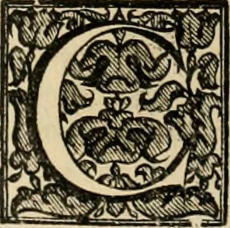 An illustration from Fasti ducales ab Anafesto I. ad Silvestrum Valerium Venetorum ducem : cum eorum iconibus, insignibus, nummismatibus publicis, & privatis aere sculptis : inscriptionibus ex aula M. Consilii, ac sepulchralibus : adiectae sunt adnotationes, ad vitam cuiusque principis, rerum, quae omissae fuerant, 1696, leaf 173
